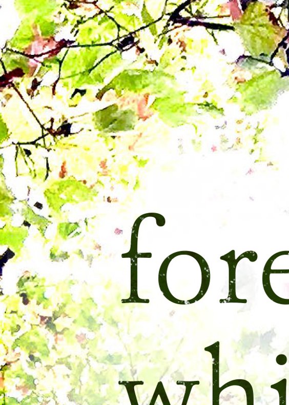 Forest Whispers Book Natalie Cooper Sonia Wynn-Jones